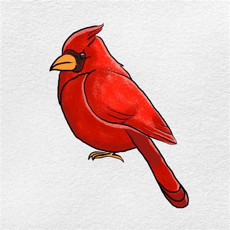 How To Draw A Cardinal Helloartsy