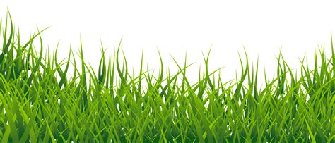 Download Grass Vector Png Image For Free
