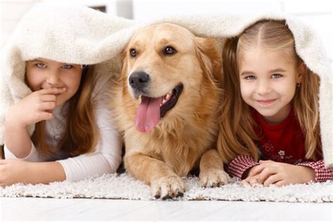 as 10 melhores raças de cães para crianças amigos de 4 patas