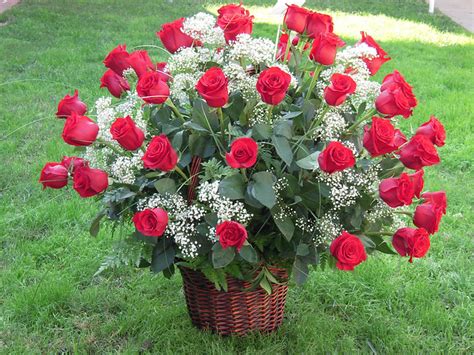 Four Dozen Red Roses Flickr Photo Sharing