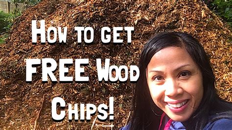 Tree services take down (and chip) lots of trees over the course of a year, and that means they have lots of wood chips to offload. How to Get FREE Wood Chips! - YouTube