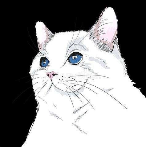Sketch Of Head Cat Fluffy Cute Cat Hand Drawn Sketch Cat With Blue