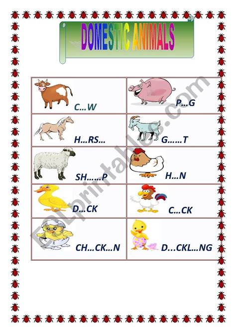 Domestic Animals Worksheet