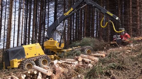 Tigercat Video Logging Machines In Action Tigercat Tv