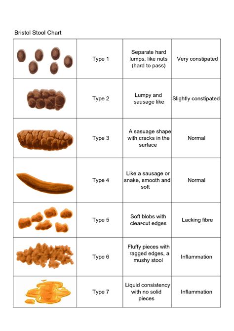 Printable Bristol Stool Chart