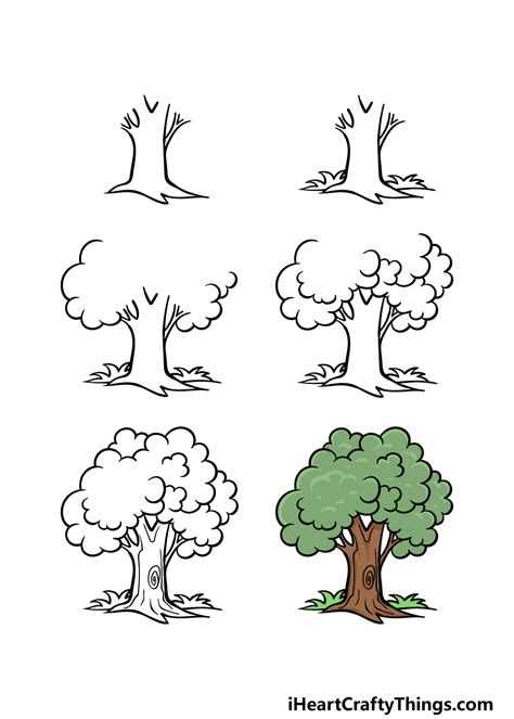 Cartoon Tree Drawing How To Draw A Cartoon Tree Step By Step 2022