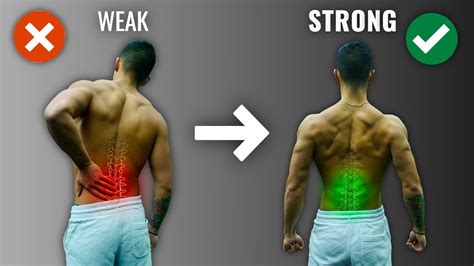 How To Get A Strong Lower Back The Right Way 4 Must Do Exercises
