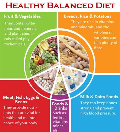 Healthy Balanced Diet Musely