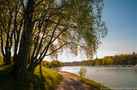 The island of djurgården is situated right next to the city center, accessible via various forms of public transportation (ferries. Postcard: Stockholm's Greenest Island - Djurgården ...