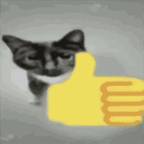 Cat Thumbs Up Middle Finger Cat Thumbs Up Middle Finger Cat