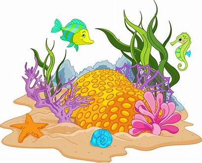 Coral Reef Clipart Underwater Vippng Automatically Should