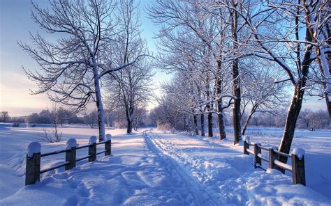 Winter Pictures For Desktop Background 69 Images