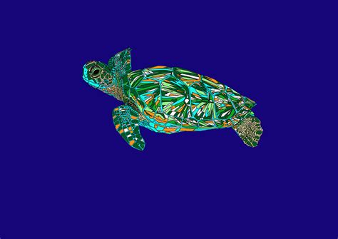 Turtle Animation Swim Hatched Art