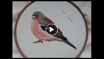 2 Hand Embroidery Chaffinch Stitching A Bird By Craft Jitsu Online