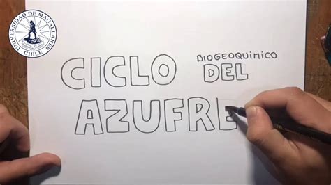 Draw Ciclo Biogeoquimico Del Azufre Youtube