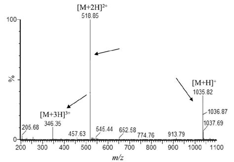 representative mass spectra of precursor ions m z 1036 [m h] 519 download scientific