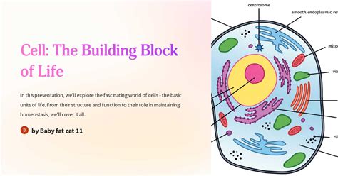 Cell The Building Block Of Life