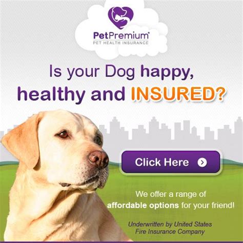 Cheapest Dog Insurance Quotes Inspiration