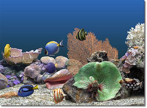 49 Moving Fish Aquarium Wallpaper