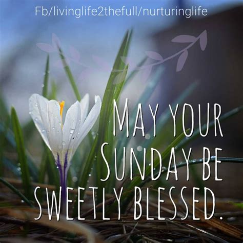 Sweetly Blessed Sunday Pictures Photos And Images For Facebook