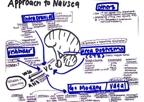 Approach To Nausea And Vomiting Tulane Internal Medicine Chief Blog