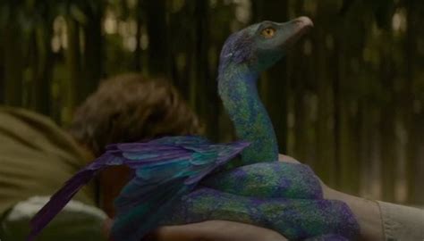 A Complete List Of All 26 Creatures In Fantastic Beasts And Where To