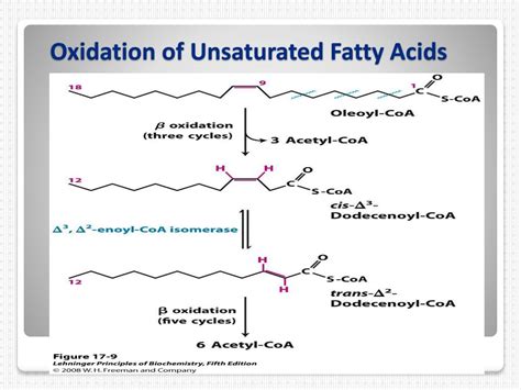 Ppt Fatty Acid Oxidation Powerpoint Presentation Free Download Id