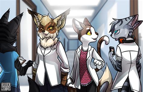 Furry Cat Doctors By Draikinator On Deviantart