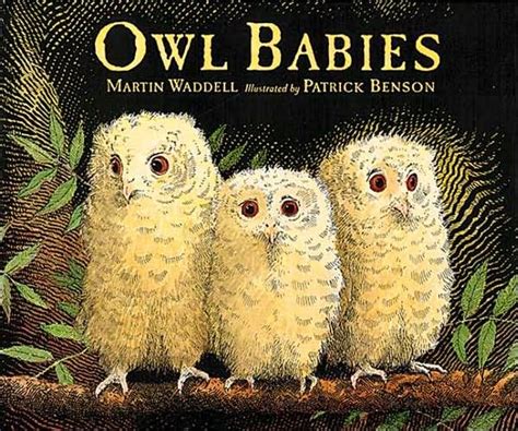 Childrens Book Owl Babies My Favorite Story To Tell To The