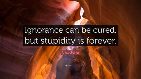 Aristophanes Quote Ignorance Can Be Cured But Stupidity Is Forever