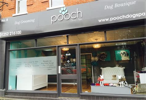 Holistic Dog Groomer Farnham Pooch Dog Spa