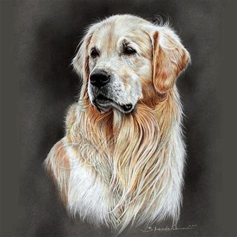 Golden Retriever Dog Diamond Art Painting Kit Diamondartts
