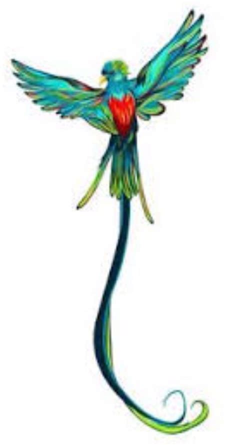 el quetzal bird of guatemala would make a nice pyrography pattern this is a good reference