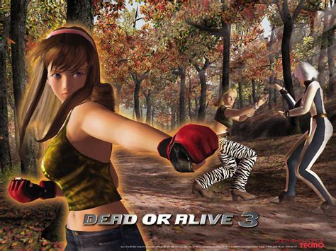 Shin Force Games Elite Series Dead Or Alive Gallery Dead Or