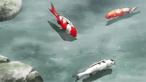 All About Koi Fish Life Koi Fish Anime 