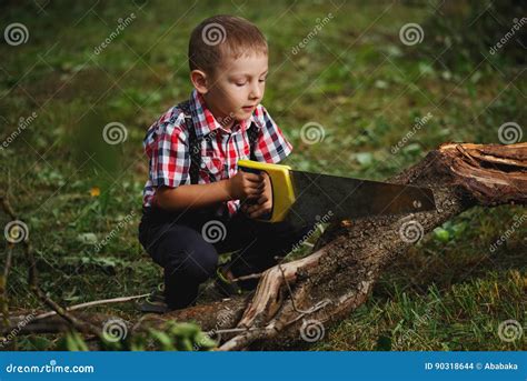 Boy Sawing Fallen Tree In Garden Stock Photo Image Of Caucasian