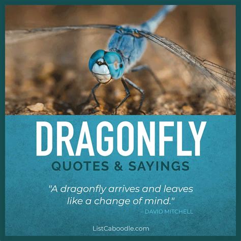 75 Dragonfly Quotes Sayings Symbolism Meaning