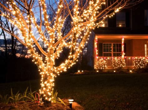 Top 15 Of Hanging Outdoor Christmas Lights In Trees