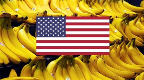 Its Official The United States Is Now A Banana Republic Economy
