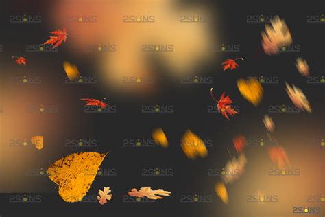 Autumn Leaf Overlay And Photoshop Overlay By 2suns Thehungryjpeg