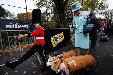 Tompkins Square Halloween Dog Parade The Best Halloween Dog Costumes
