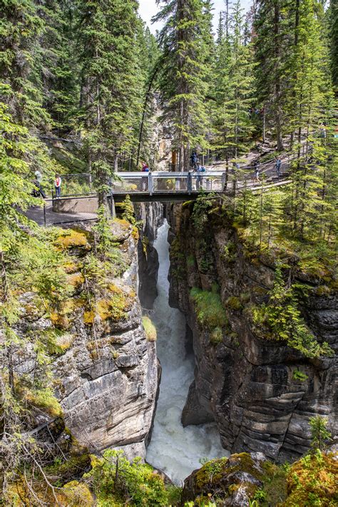 Maligne Canyon The Intrepid Life