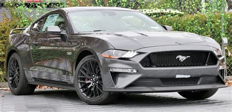 Magnetic 2019 Ford Mustang Gt Gt Performance Fastback