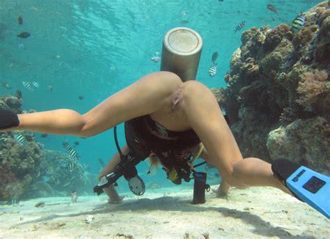 Nude Couples Scuba Diving Telegraph