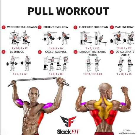 Pull Workout Exercises Guide