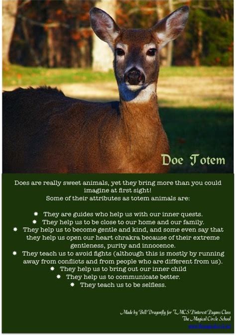 Image Result For Deer Spirit Animal Spirit Animal Totem Animal Spirit