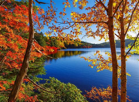 Autumn Lake Pretty Fall Shore Autumn Lovely Bonito Trees Lake