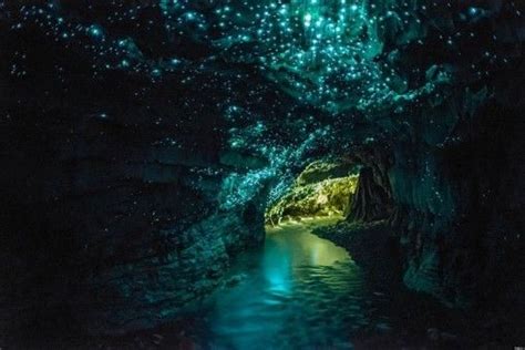 Waitomo Glowworm Caves Hd Wallpapers Breathtaking Places Places To