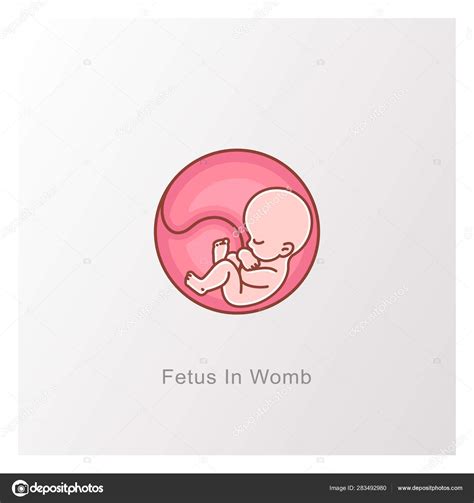 Baby In Womb Fetus Symbol Round Logo Stock Vector By ©natoushe 283492980