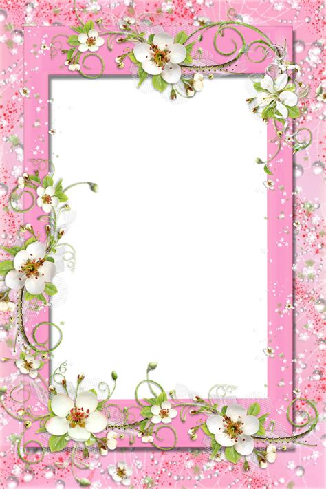 Transparent Pink Png Frame With Flowers